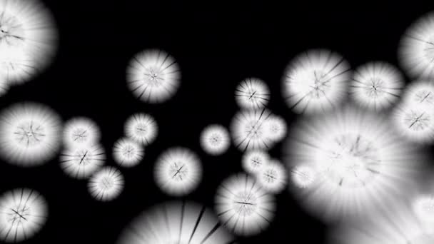 Абстрактные Светящиеся Фигуры Прозрачном Фоне Альфа Каналом — стоковое видео