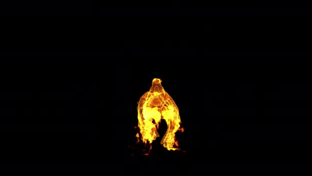 Fiery Burning Bird Transparent Background Alpha Channel — Stock Video