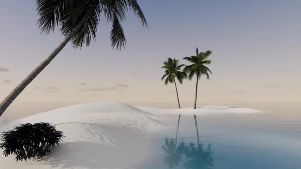 Bella Estate Paesaggio Tropicale Vicino Mare Con Palme Spiaggia Acqua — Video Stock