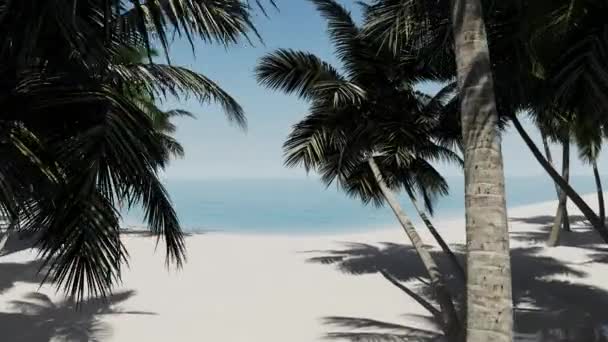 Hermoso Verano Paisaje Tropical Cerca Del Mar Con Palmeras Playa Imágenes de stock libres de derechos