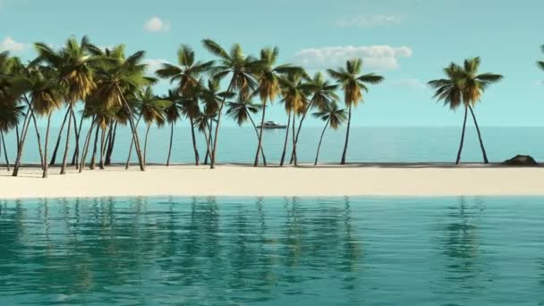 Musim Panas Yang Indah Pemandangan Tropis Dekat Laut Dengan Pohon — Stok Video