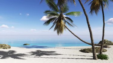 Palmiye ağaçları, gökyüzü ve deniz manzarası. Seyahat, gezi, turizm, tatil, dinlenme, hafta sonu.