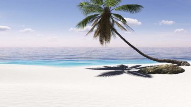 Palmiye ağaçları, gökyüzü ve deniz manzarası. Seyahat, gezi, turizm, tatil, dinlenme, hafta sonu.