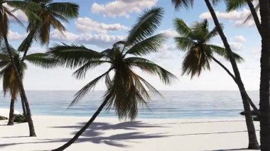 Beautiful views of palm trees and the sea during a tropical vacation.Travel, trip, tourism, vacation, relax, weekend.