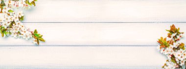 Bahar çiçekleri ve Nisan çiçekleri ahşap arka planda. Çiçek açan bayrağın dalları. Paskalya ve bahar tebrik kartları için. İlkbahar