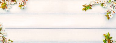 Bahar arkaplanı mayıs çiçekleri ve Nisan çiçekleri ahşap arka planda. Çiçek açan bayrağın dalları. Fotokopi alanı olan Paskalya bahar tebrik kartları. İlkbahar