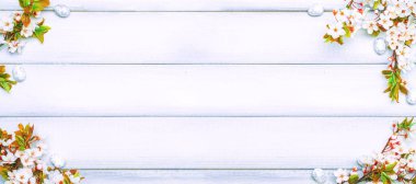 Paskalya beyaz arka planı. Bahar çiçeği sınırı, beyaz mutlu paskalya yumurtası ahşap bahar arka planında. Paskalya kartı. Düz yatıyordu