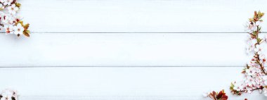 Nisan çiçekli doğa afişi. Mayıs ayının bahar çiçekleri tahtada. Arka planda çiçek açan kiraz dalları. Boşluğu kopyala