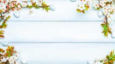 Paskalya düzlüğü. Kiraz ağacı çiçeği, beyaz mutlu paskalya yumurtaları ahşap bahar arka planında. İlkbahar konsepti