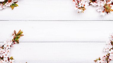 Sakura çiçeği ilkbaharı ve Nisan çiçekleri ahşap arka planda. 8 Mart bayrağı, mesaj için yeri olan mutlu Paskalyalar. İlkbahar konsepti. Üst Manzara. Düz yatıyordu