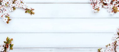 Bahar sınır pankartı, Nisan çiçekleri ve bahar çiçekleri ahşap arka planda. Çiçek açan dallar. Kopya alanı olan Paskalya ve bahar tebrik kartları. İlkbahar