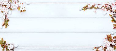 Easter background wood. Sakura blossom flower, white happy easter eggs on wood spring background. Easter design banner. Top view. Flat lay