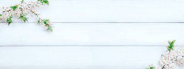 Sakura çiçeği ilkbaharı ve Nisan çiçekleri ahşap arka planda. 8 Mart bayrağı, mesaj için yeri olan mutlu Paskalyalar. İlkbahar konsepti. Üst Manzara. Düz yatıyordu