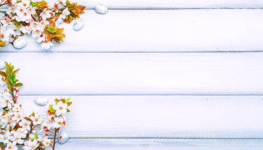 Paskalya baharı. Sakura çiçeği, beyaz mutlu paskalya yumurtası ahşap bahar arka planında. Paskalya duvar kağıdı afişi. Bahar tatili kavramı