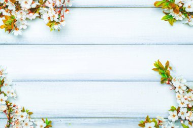 Sakura çiçeği ilkbaharı ve Nisan çiçekleri ahşap arka planda. 8 Mart bayrağı, mesaj için yeri olan mutlu Paskalyalar. İlkbahar konsepti. Üst Manzara. Düz yatıyordu