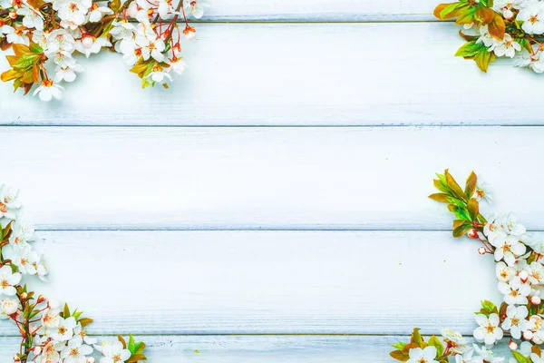 Sakura çiçeği ilkbaharı ve Nisan çiçekleri ahşap arka planda. 8 Mart bayrağı, mesaj için yeri olan mutlu Paskalyalar. İlkbahar konsepti. Üst Manzara. Düz yatıyordu