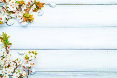 Paskalya düzlüğü. Kiraz ağacı çiçeği, beyaz mutlu paskalya yumurtaları ahşap bahar arka planında. İlkbahar konsepti.