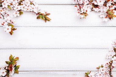 Bahar sınırı, Nisan çiçekleri ve bahar çiçekleri ahşap arka planda. Çiçek açan dallar. Kopya alanı olan Paskalya ve bahar tebrik kartları. İlkbahar