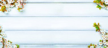 Spring background table banner. May flowers and April floral nature on wooden. For banner, branches of blossoming cherry against background. Copy space