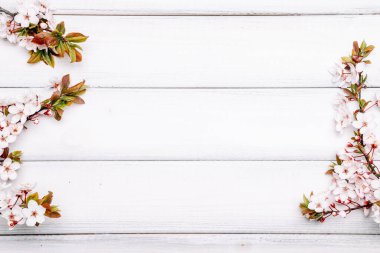 Bahar arkaplanı çiçekleri ve ağaçta çiçek açan Nisan çiçekleri. Paskalya güneşli bir gün. Orchard soyut arka plan. İlkbahar