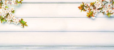 Spring background flower blossom and April floral nature with blooming tree on wooden banner. Easter Sunny day. Orchard abstract background. Springtime
