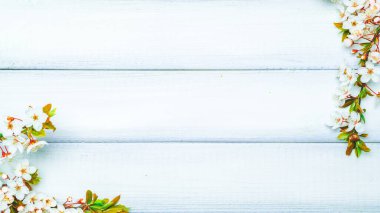 Bahar sınırı, Nisan çiçekleri ve bahar çiçekleri ahşap arka planda. Çiçek açan dallar. Kopya alanı olan Paskalya ve bahar tebrik kartları. İlkbahar