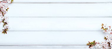 Sakura çiçeği ilkbaharı ve Nisan çiçekleri ahşap arka planda. 8 Mart bayrağı, mesaj için yeri olan mutlu Paskalyalar. İlkbahar konsepti. Üst Manzara. Düz yatıyordu