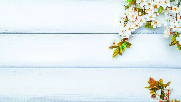Spring Background Table May Flowers April Floral Nature Wooden Banner Royalty Free Stock Photos