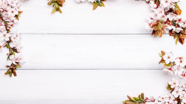 Bahar çiçekleri açsın. Nisan ayının çiçek açan ağacı ahşap arka planda. Paskalya güneşli bir gün. Meyve bahçesi arkaplanı bulanık. İlkbahar