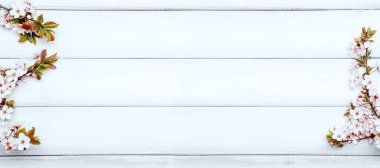 May flowers spring blossom banner. April floral nature blooming tree on wooden background. Easter Sunny day. Orchard abstract blurred background. Springtime