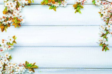 Sakura arka planda çiçek açar ve Nisan 'da çiçek açar. Çiçek açan ağaç. Paskalya güneşli bir gün. Soyut ilkbahar arkaplanı