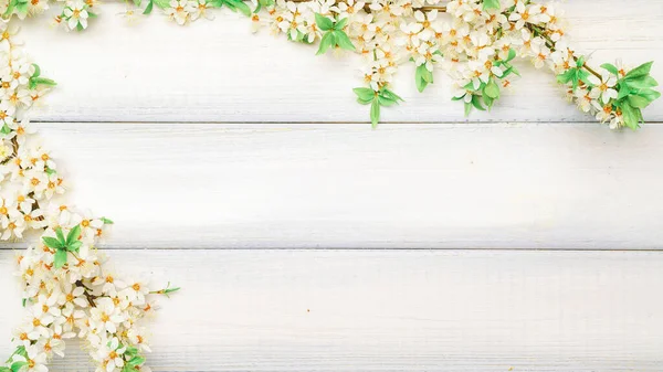 stock image Sakura flower spring blossom and April floral nature on wooden background. Banner for 8 march, Happy Easter with place for text. Springtime concept. Top view. Flat lay