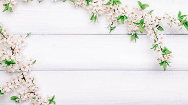 Bahar çiçekleri ve Nisan çiçekleri ahşap arka planda. Çiçek açan dallar. Paskalya ve bahar tebrik kartları için. İlkbahar