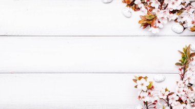 Paskalya düzlüğü. Kiraz ağacı çiçeği, beyaz mutlu paskalya yumurtaları ahşap bahar arka planında. İlkbahar konsepti