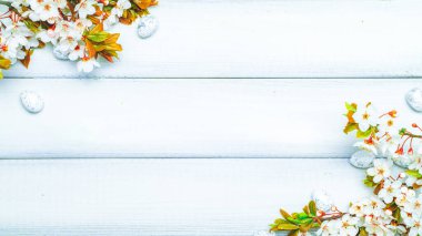 Paskalya düzlüğü. Kiraz ağacı çiçeği, beyaz mutlu paskalya yumurtaları ahşap bahar arka planında. İlkbahar konsepti