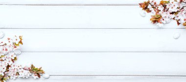 Paskalya baharı. Sakura çiçeği, beyaz mutlu paskalya yumurtası ahşap bahar arka planında. Paskalya duvar kağıdı afişi. Bahar tatili kavramı