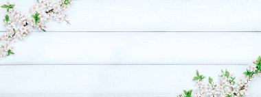 Bahar sınır pankartı, Nisan çiçekleri ve bahar çiçekleri ahşap arka planda. Çiçek açan dallar. Kopya alanı olan Paskalya ve bahar tebrik kartları. İlkbahar