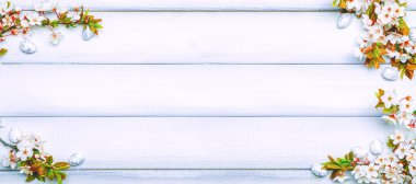 Paskalya bayrağı. Kiraz ağacı çiçeği, beyaz mutlu paskalya yumurtaları ahşap bahar arka planında. İlkbahar konsepti