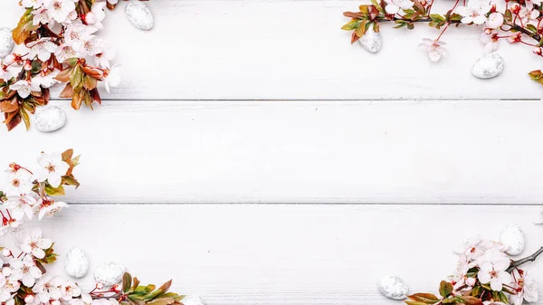 Великодній Весняний Фон Квітка Сакури Біле Щасливе Пасхальне Яйце Дерев — стокове фото