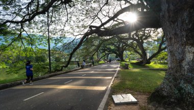 Taiping, Malaysia - 1st Jan 2023: Beautiful Taiping Lake Gardens, a great park for exercise and recreational activities.