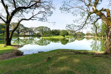 Taiping, Malaysia - 1st Jan 2023: Beautiful Taiping Lake Gardens, a great place for sightseeing and recreational activities.