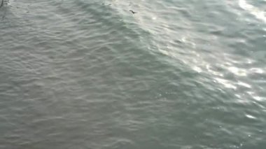 Sea waves in slow motion. Nature background concept.