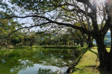 Taiping, Malaysia - 1st Jan 2023: Beautiful Taiping Lake Gardens, a great place for sightseeing and recreational activities.