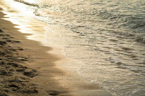 Shoreline, during sunset. Copy space, nature background concept.