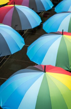 Rainbow color umbrellas. Top view.