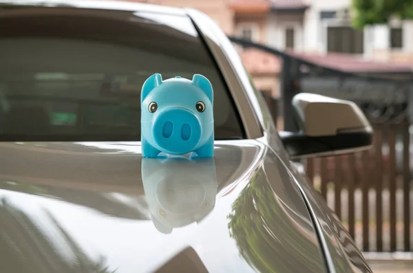 stock image Blue piggy bank money box on top of white car. Car purchase and insurance concept.