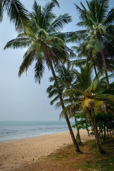 Beautiful Sandy Beach Sea View Coconut Trees — Stock Photo, Image