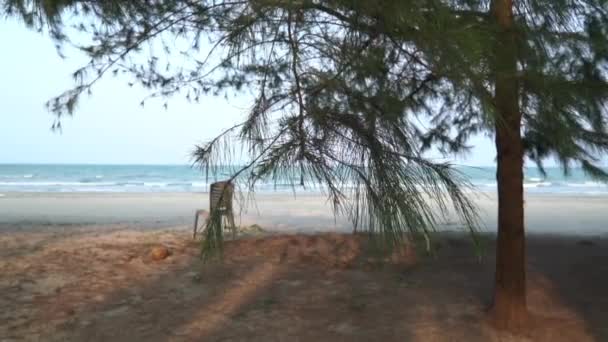 Δέντρα Φύλλα Ταλαντεύονται Στην Παραλία Θάλασσα Στο Βάθος Ευγενικό Αεράκι — Αρχείο Βίντεο