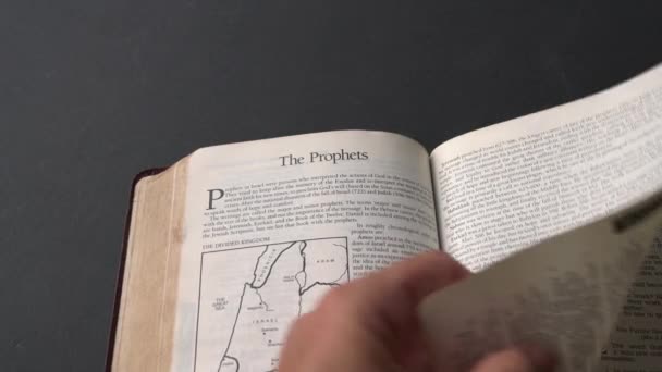 Bibelblätter Blättern Aus Dem Buch Der Propheten Daniel Nahsicht — Stockvideo