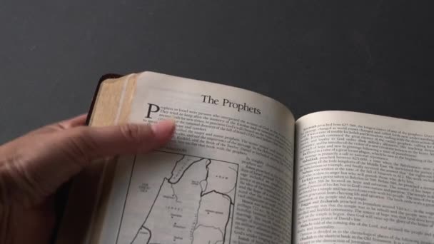 Kâhinler Kitabının Ncil Sayfalarını Çeviriyorum Daniel Görüntüyü Kapat — Stok video